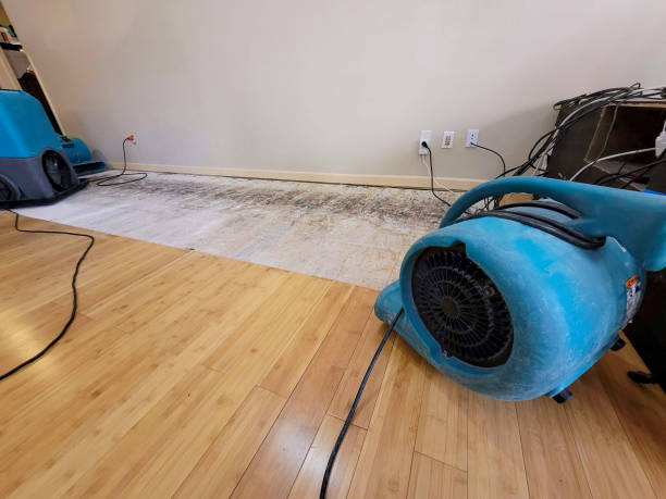 Professional Water Damage Repair technician working in Eldorado, IL